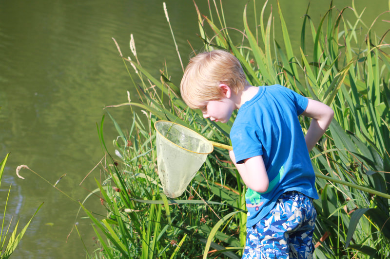 pond dipping at Brook Meadow Campsite